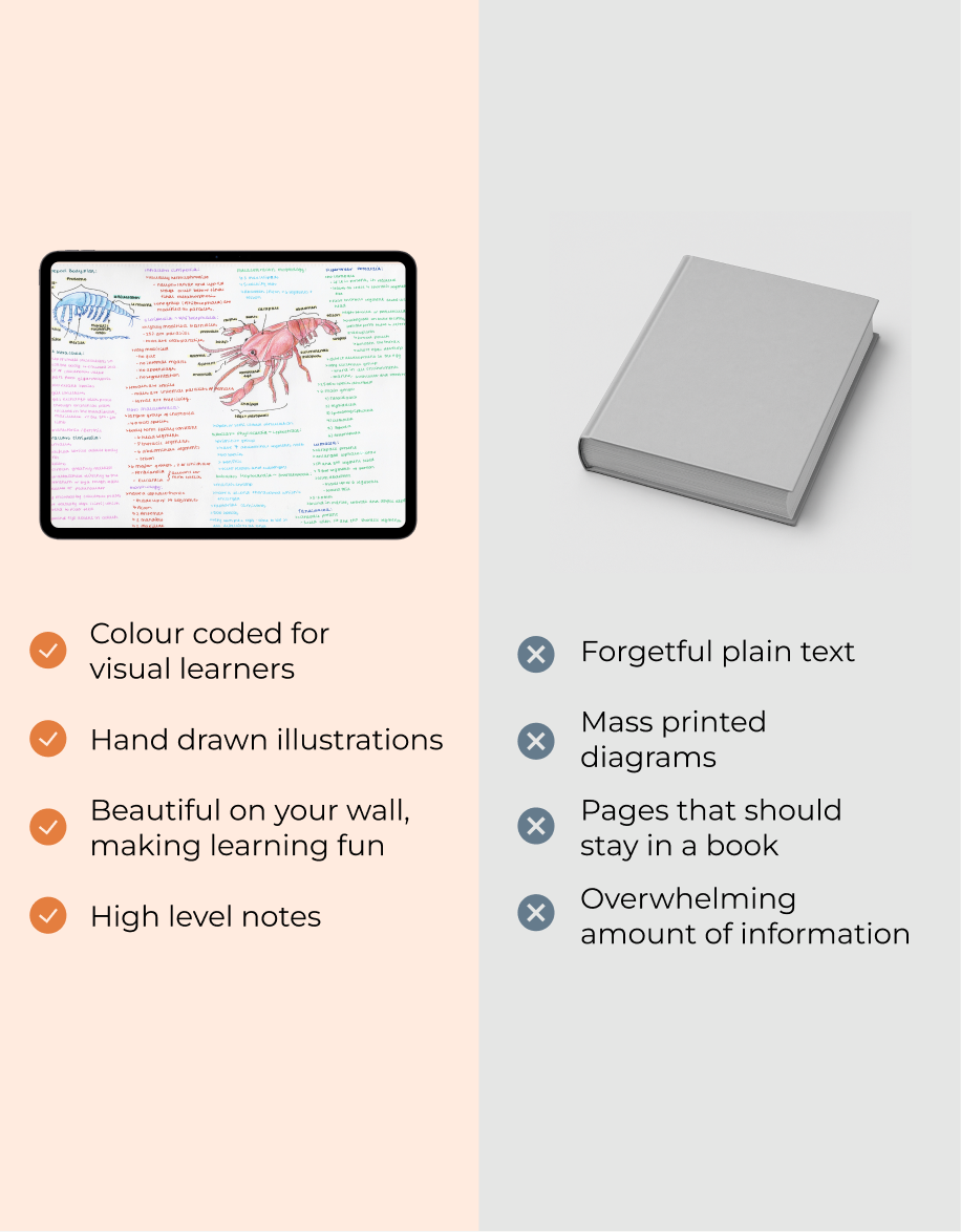 Full Marine Biology Study Guide - 17 Topics