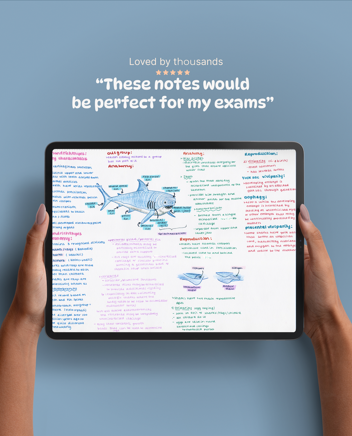 Full Marine Biology Study Guide - 17 Topics