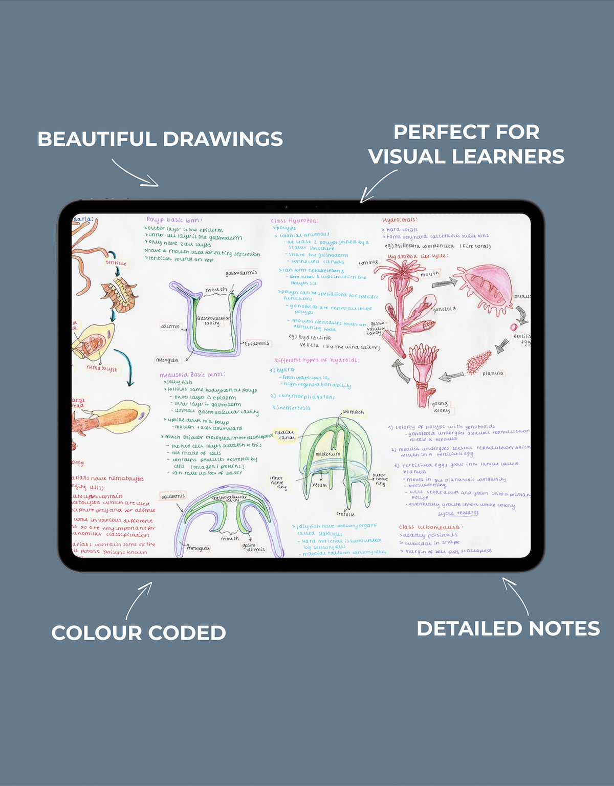 Full Marine Biology Study Guide - 17 Topics