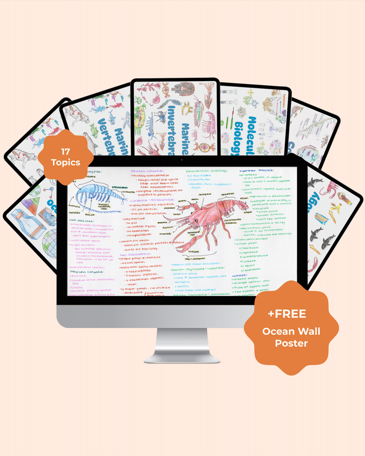 Full Marine Biology Study Guide - 17 Topics