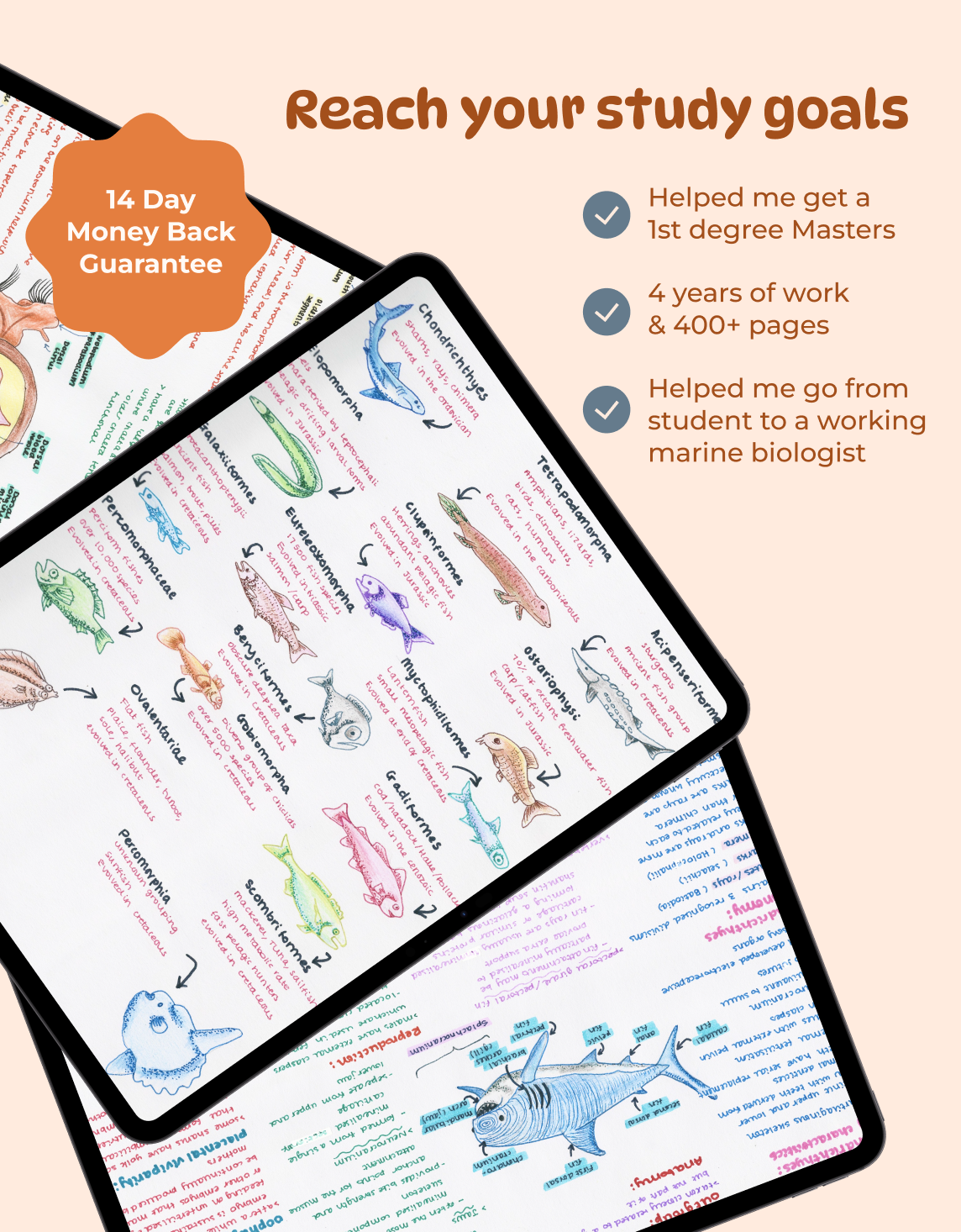 Full Marine Biology Study Guide - 17 Topics