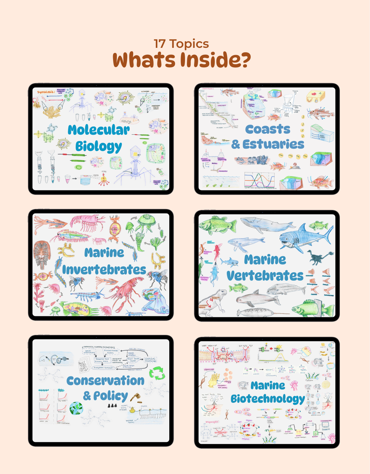 Full Marine Biology Study Guide - 17 Topics