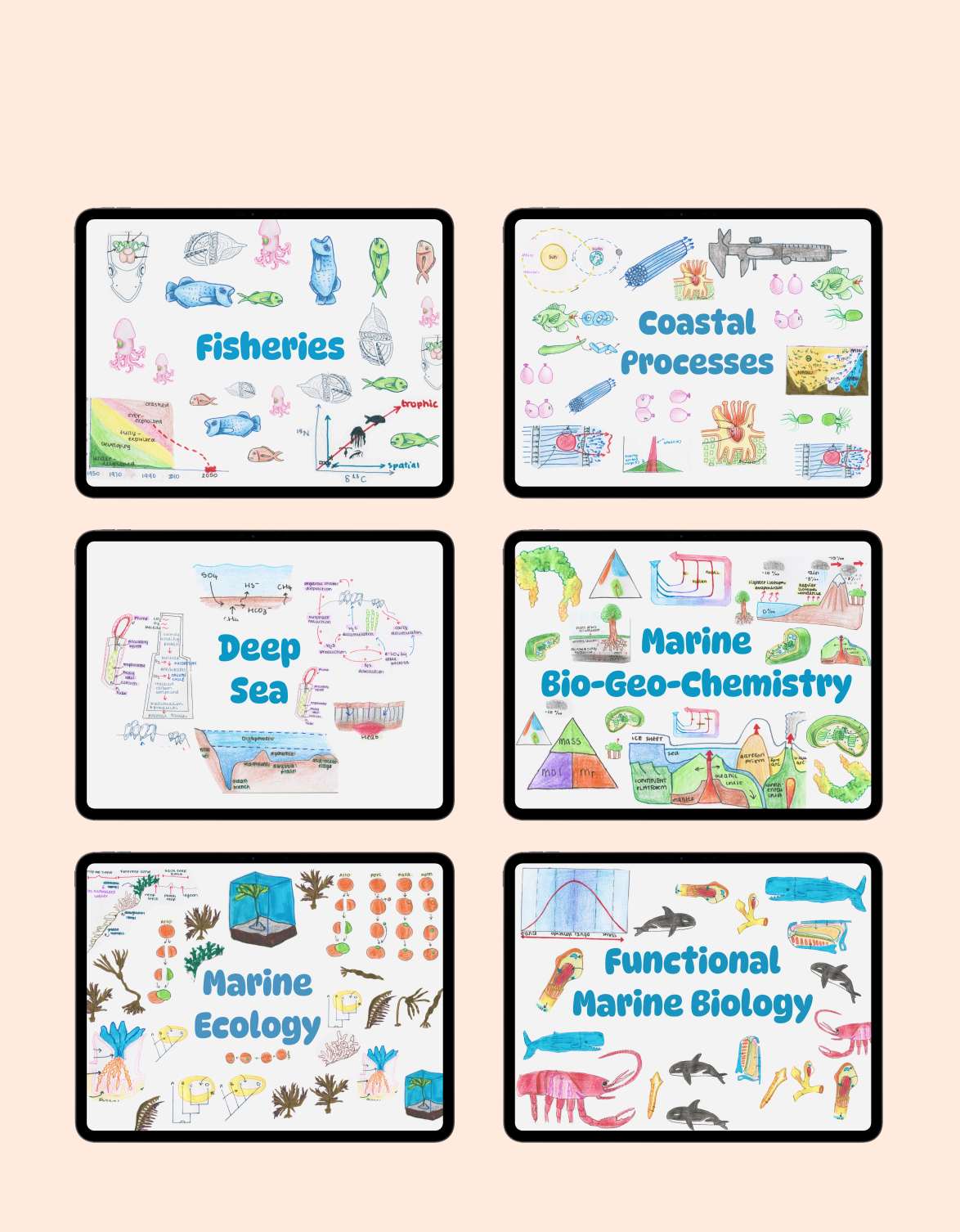 Full Marine Biology Study Guide - 17 Topics