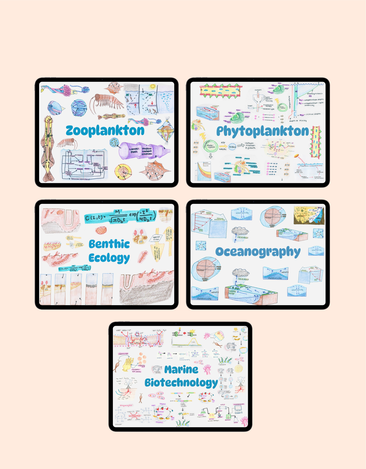 Full Marine Biology Study Guide - 17 Topics