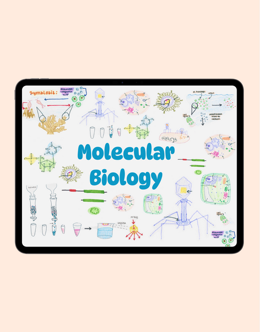Molecular Biology