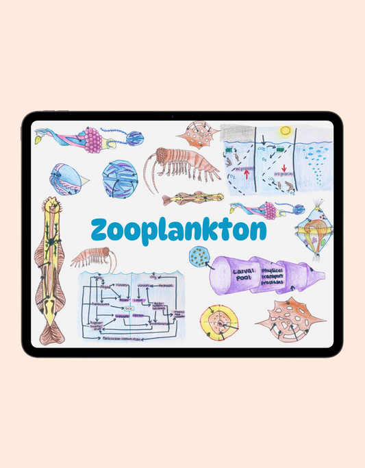 Zooplankton