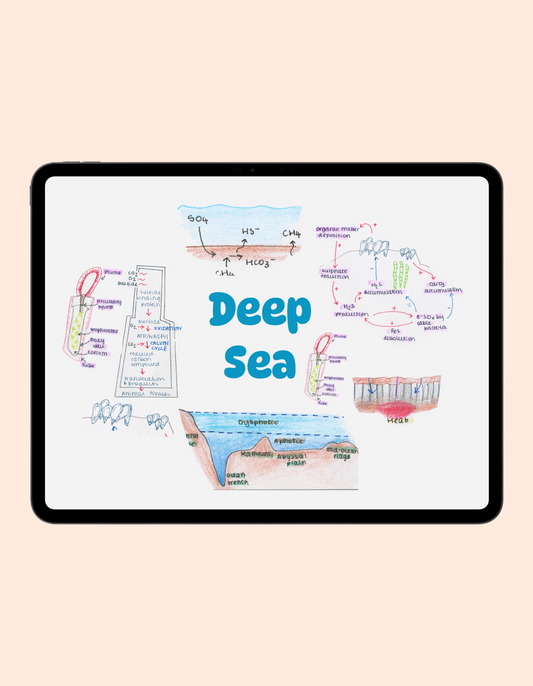 Deep Sea
