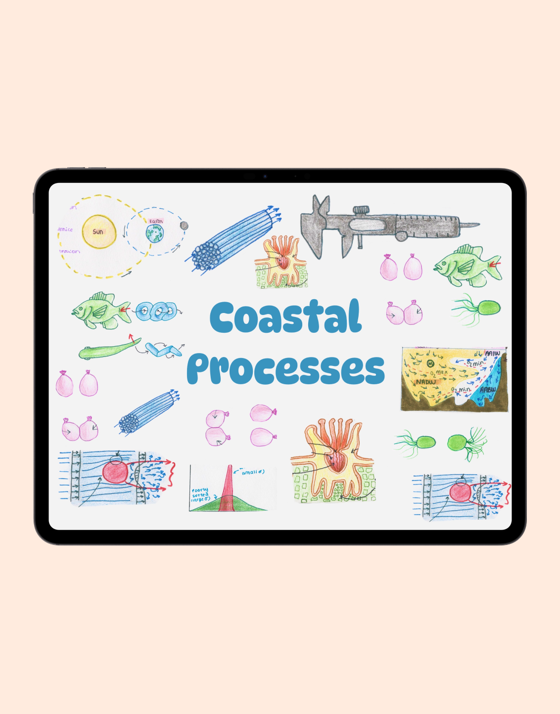 Coastal Processes
