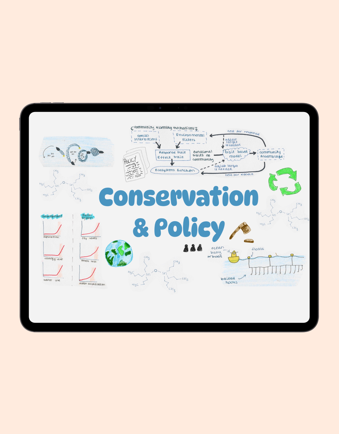 Conservation & Policy