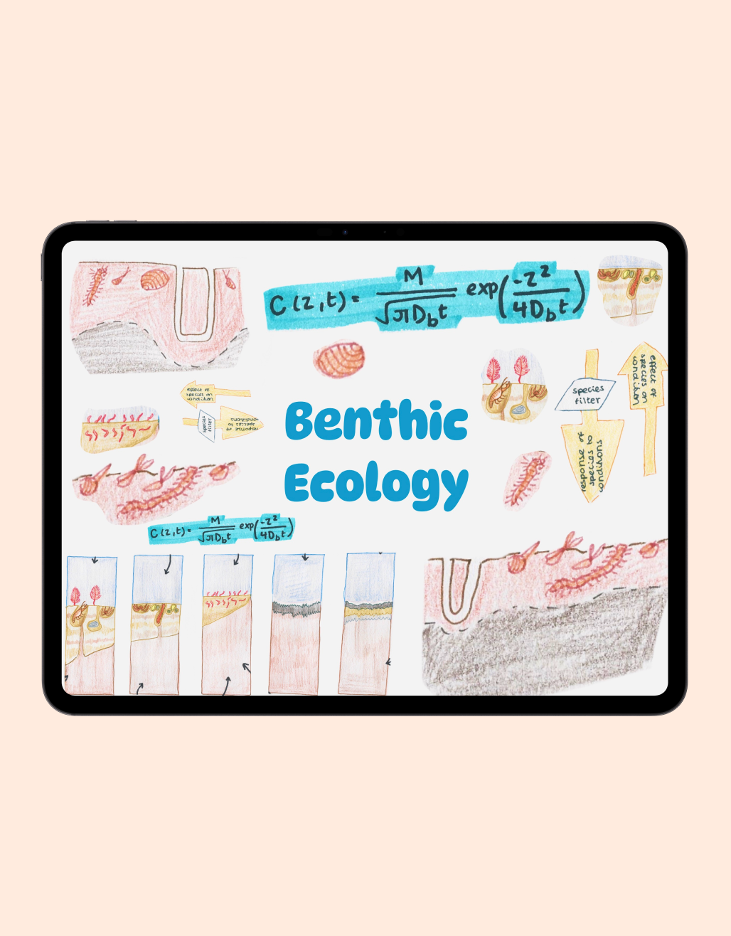 Benthic Ecology