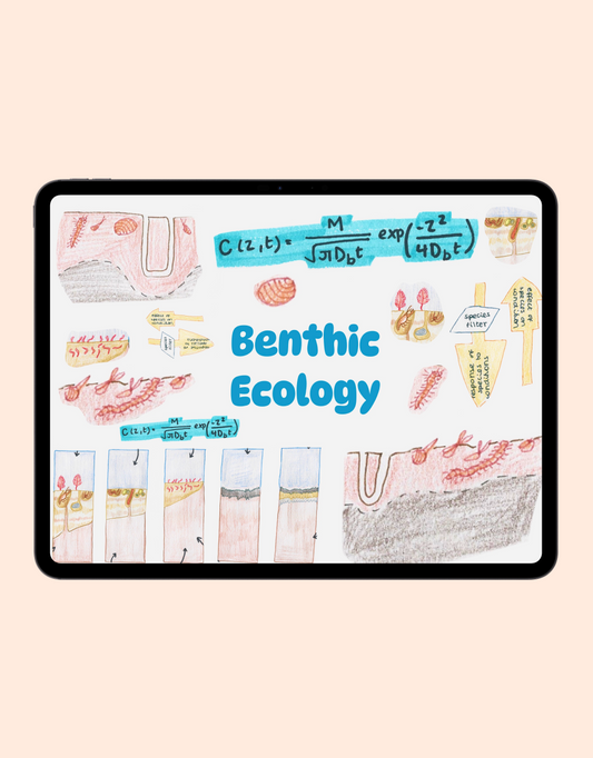 Benthic Ecology