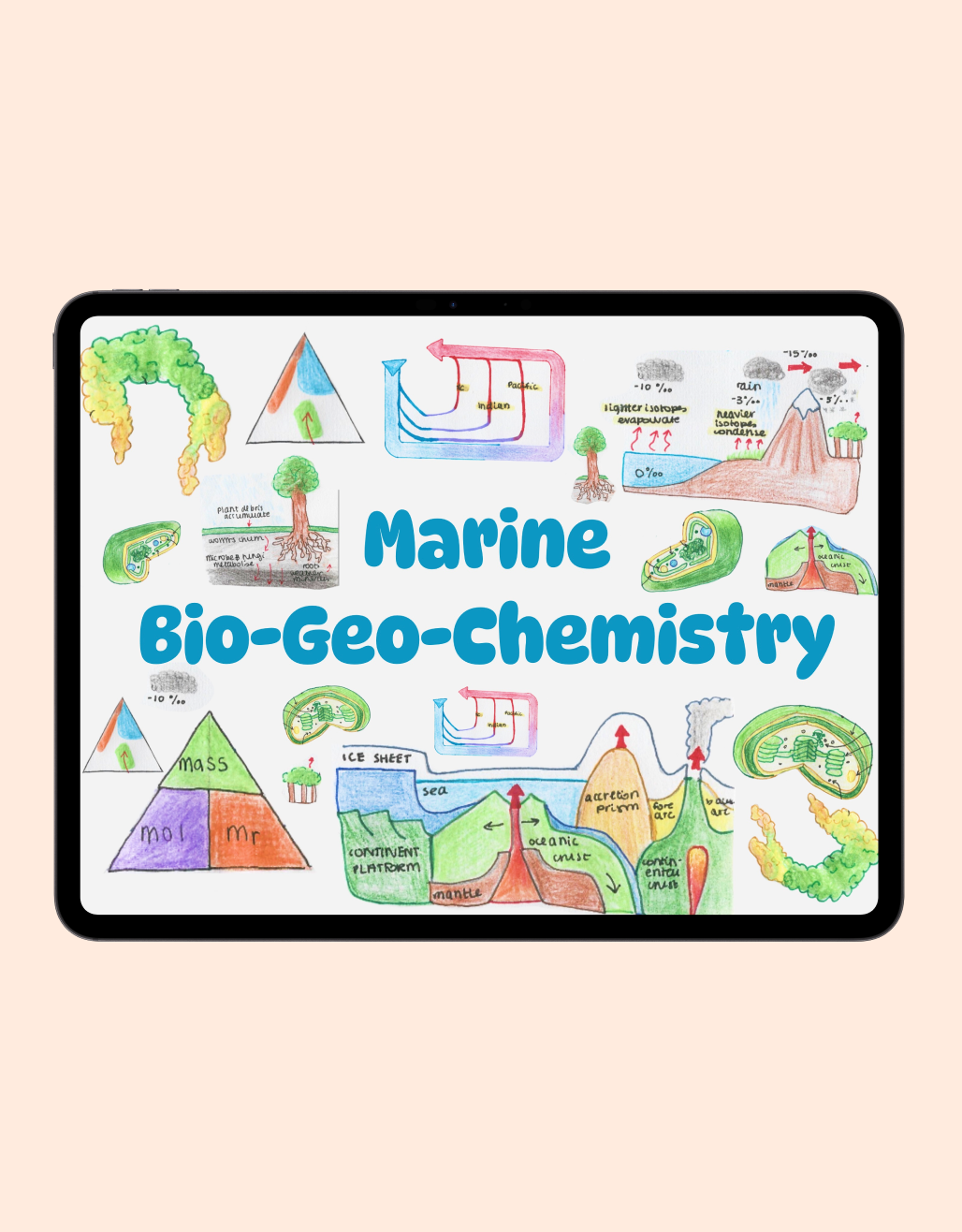 Marine Bio-Geo-Chemistry