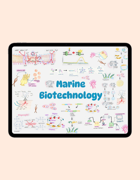 Marine Biotechnology