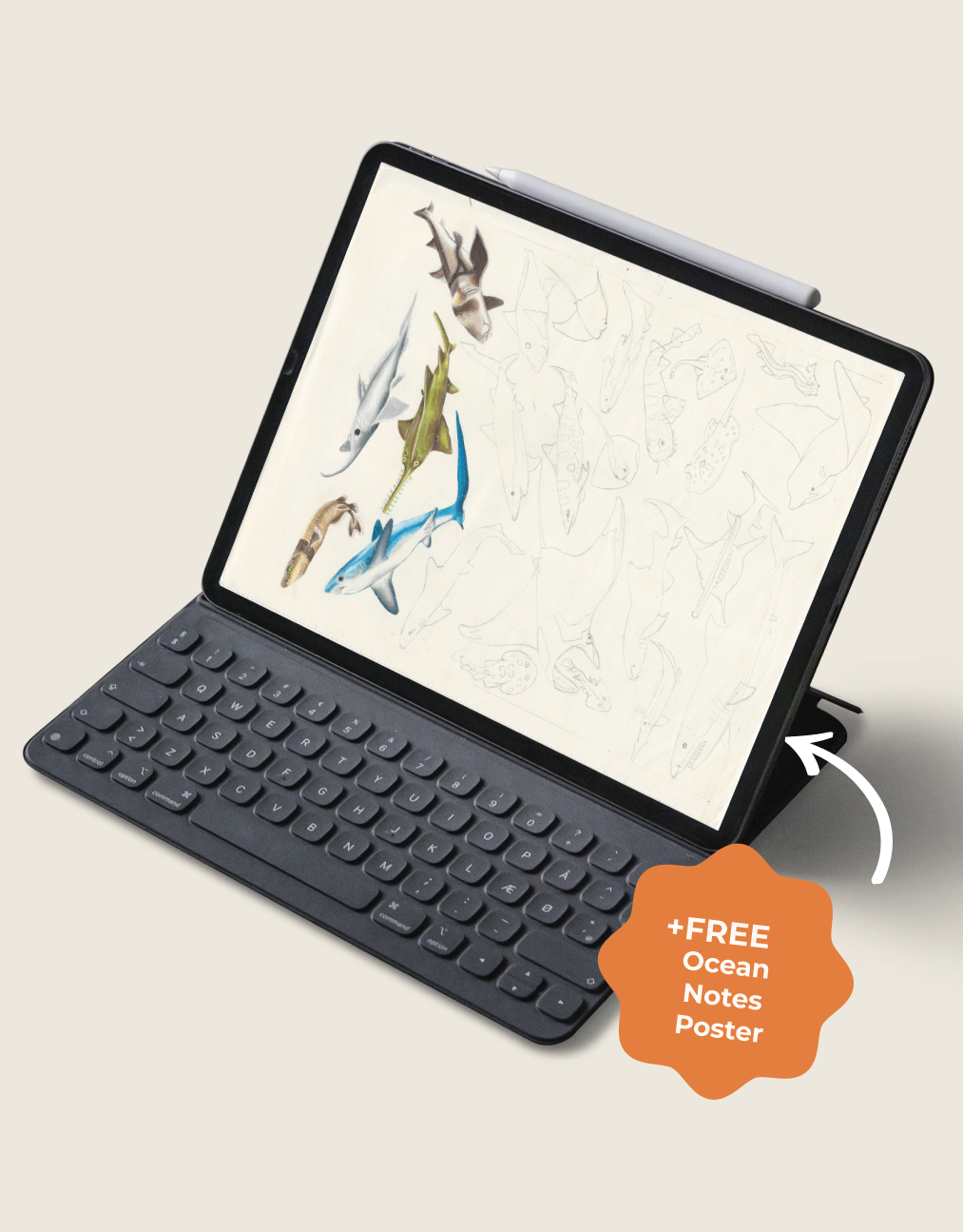 Full Marine Biology Study Guide - 17 Topics