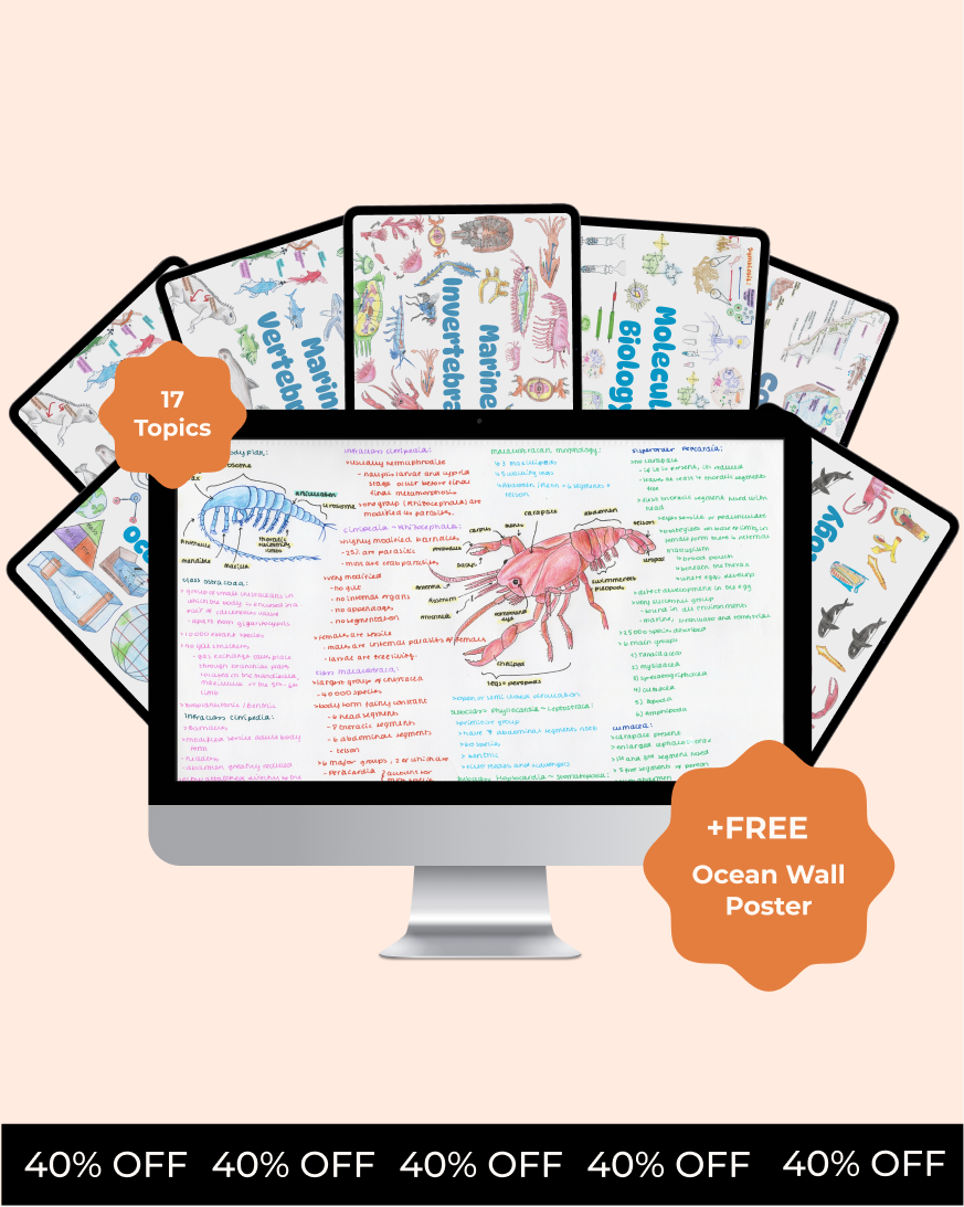 Full Marine Biology Study Guide - 17 Topics