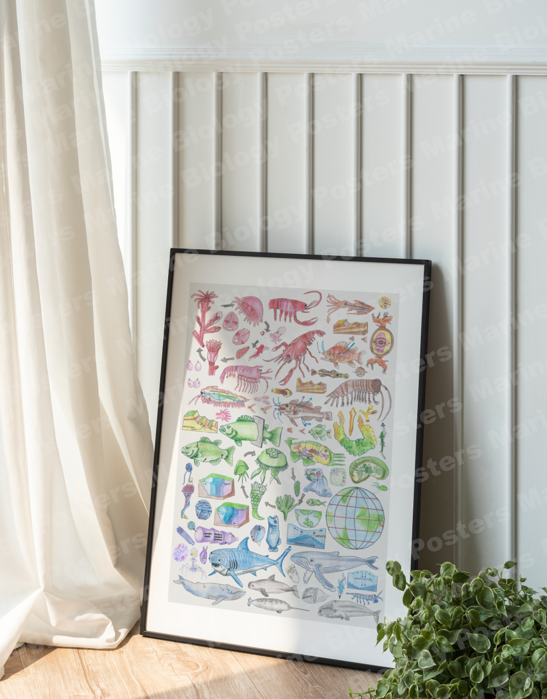 Wall Art Bundle (5 Different Colours)