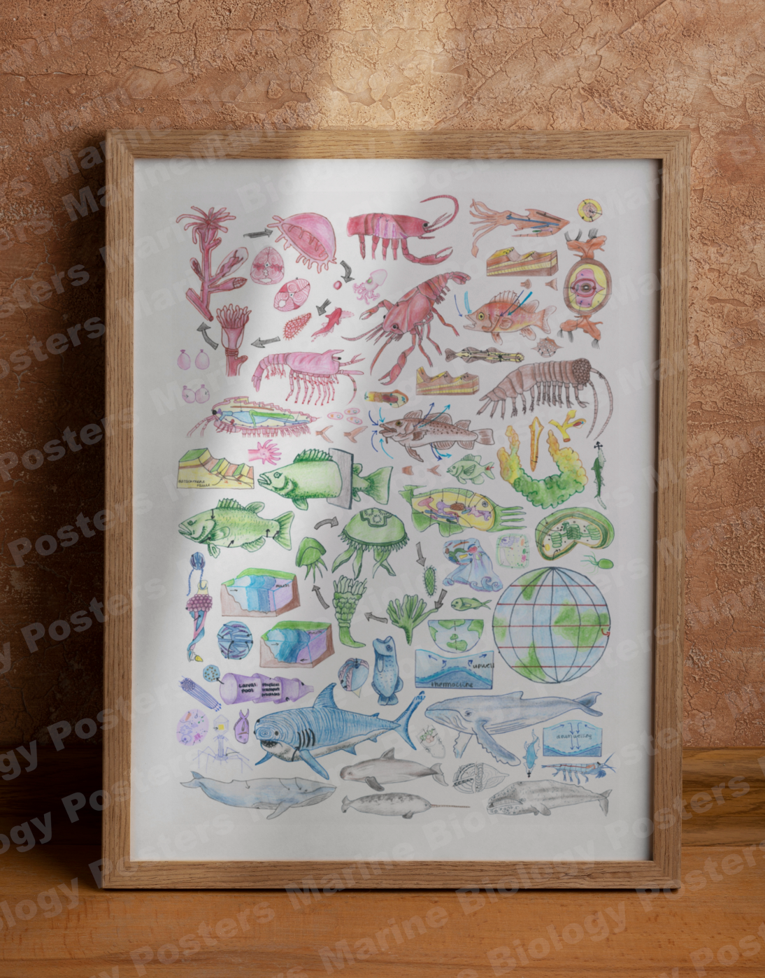 Wall Art Bundle (5 Different Colours)