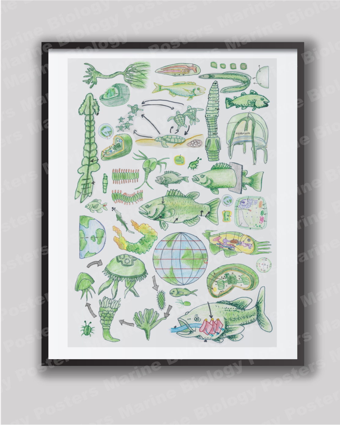 Wall Art Bundle (5 Different Colours)