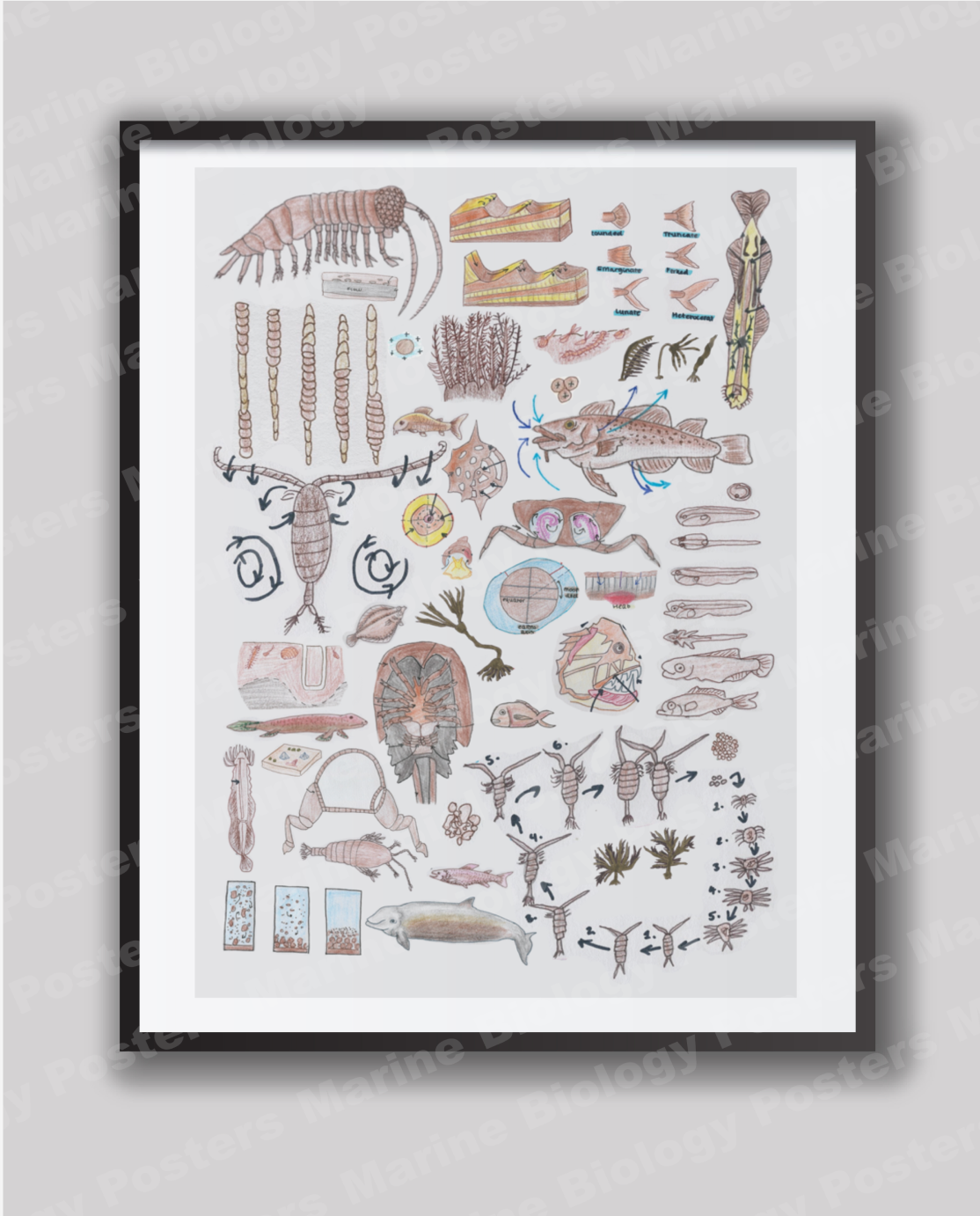 Wall Art Bundle (5 Different Colours)