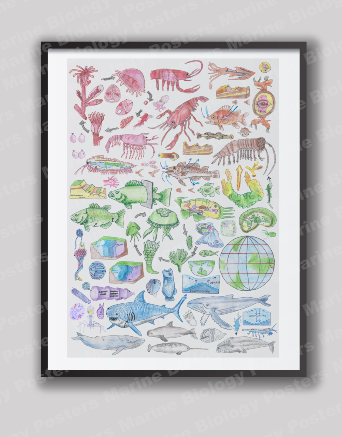 Wall Art Bundle (5 Different Colours)